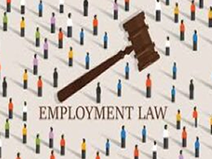 Guideline on Ethiopian Employment Law: Hiring and Employment Management